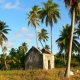 20- Une ruine dans le village abandonne de Tetamanu 